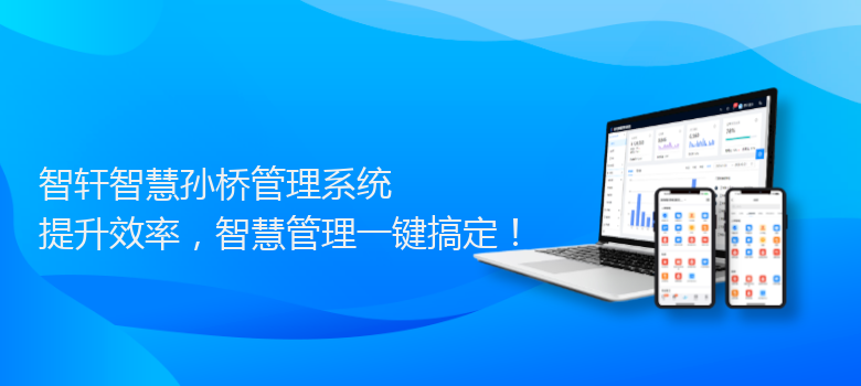 智慧孙桥管理系统